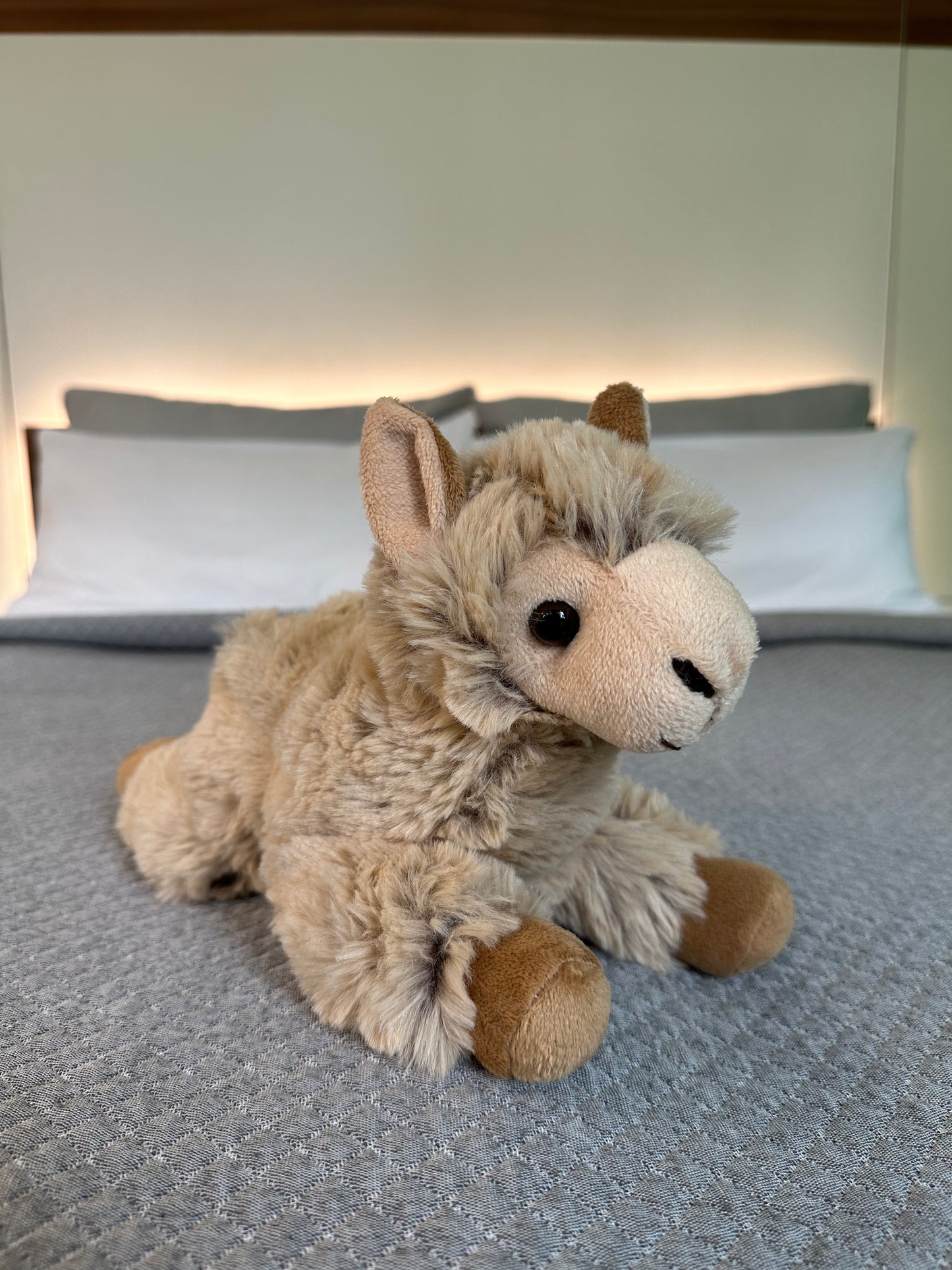 Liegendes hellbraunes Alpaka Stofftier "Linus" auf grauer Decke