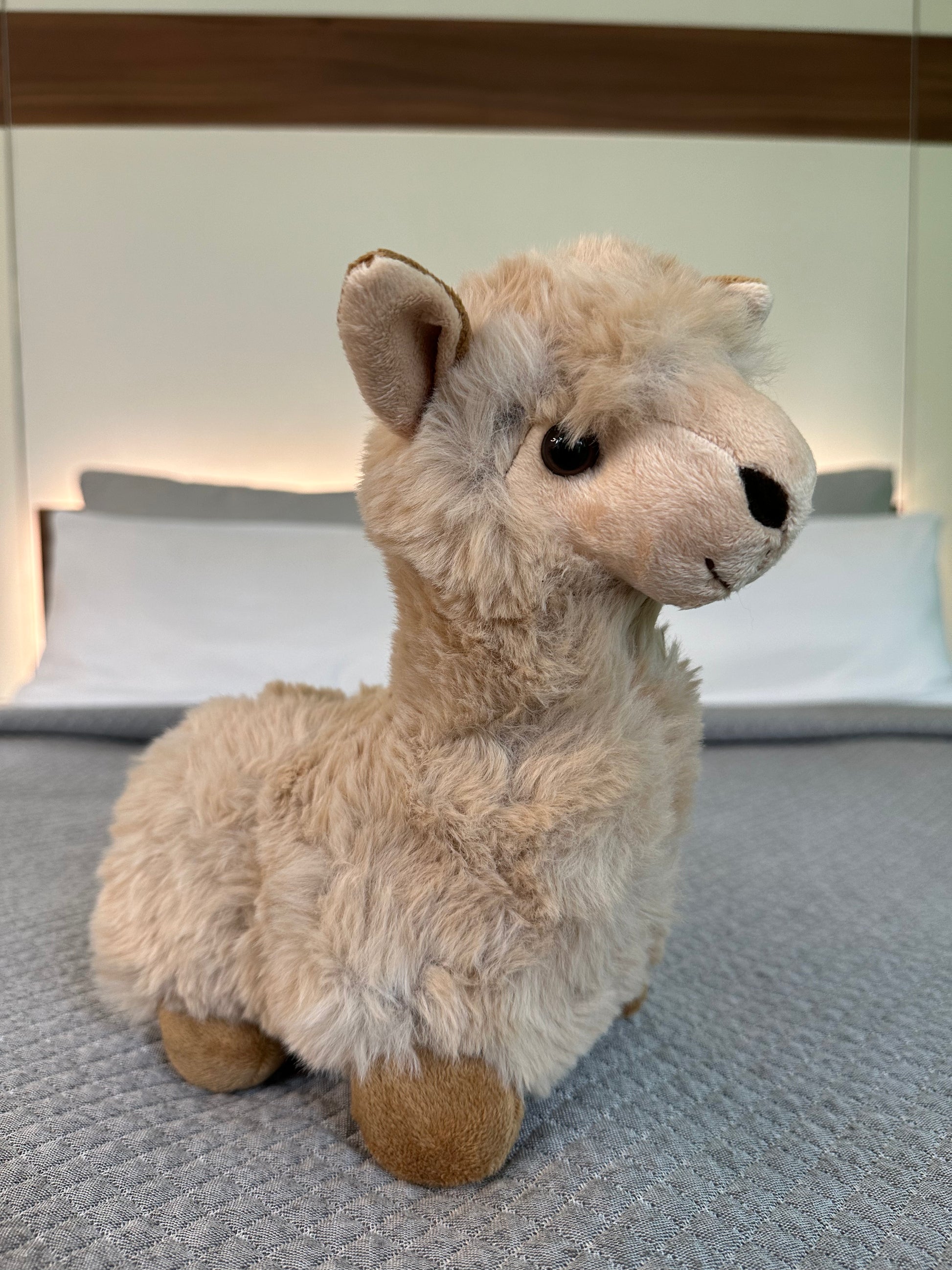 Stehendes hellbraunes Alpaka Stofftier "Linus" auf grauer Decke